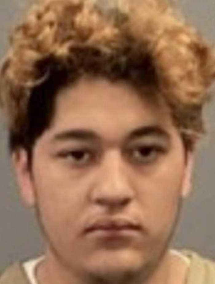 Adolescent de 19 ani, acuzat că și-a ucis iubita cu care avea un copil. I-ar fi dezmembrat trupul și apoi a ascuns-o sub pat