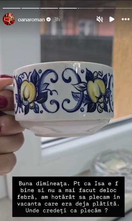 Povestea Oanei Roman