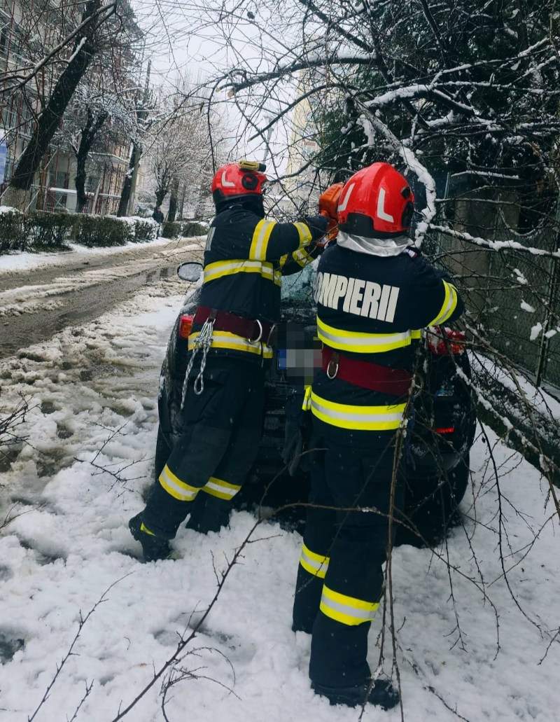 Vremea extremă a făcut dezastru în Hunedoara! Peste 100 de copaci au fost doborâți și 6.500 de gospodării au rămas fără curent