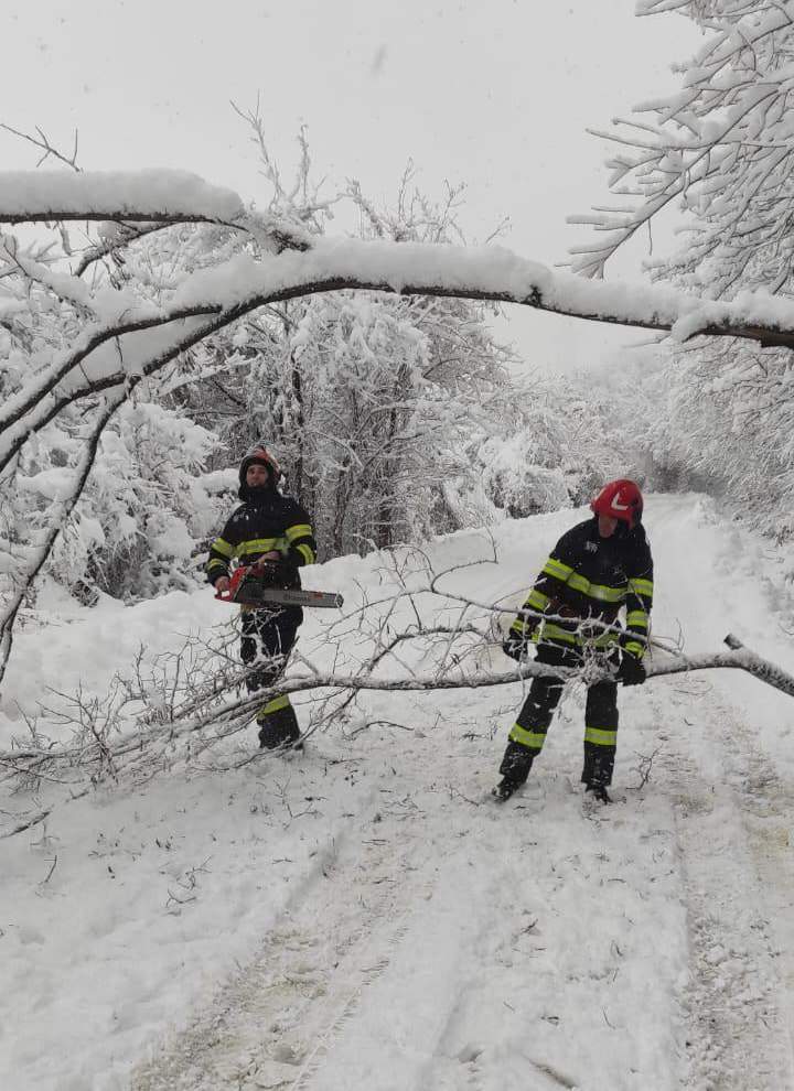 Vremea extremă a făcut dezastru în Hunedoara! Peste 100 de copaci au fost doborâți și 6.500 de gospodării au rămas fără curent