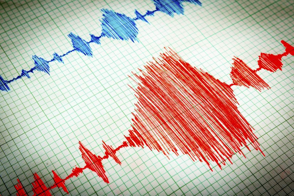 Grafic de activitate seismică care arată un cutremur.