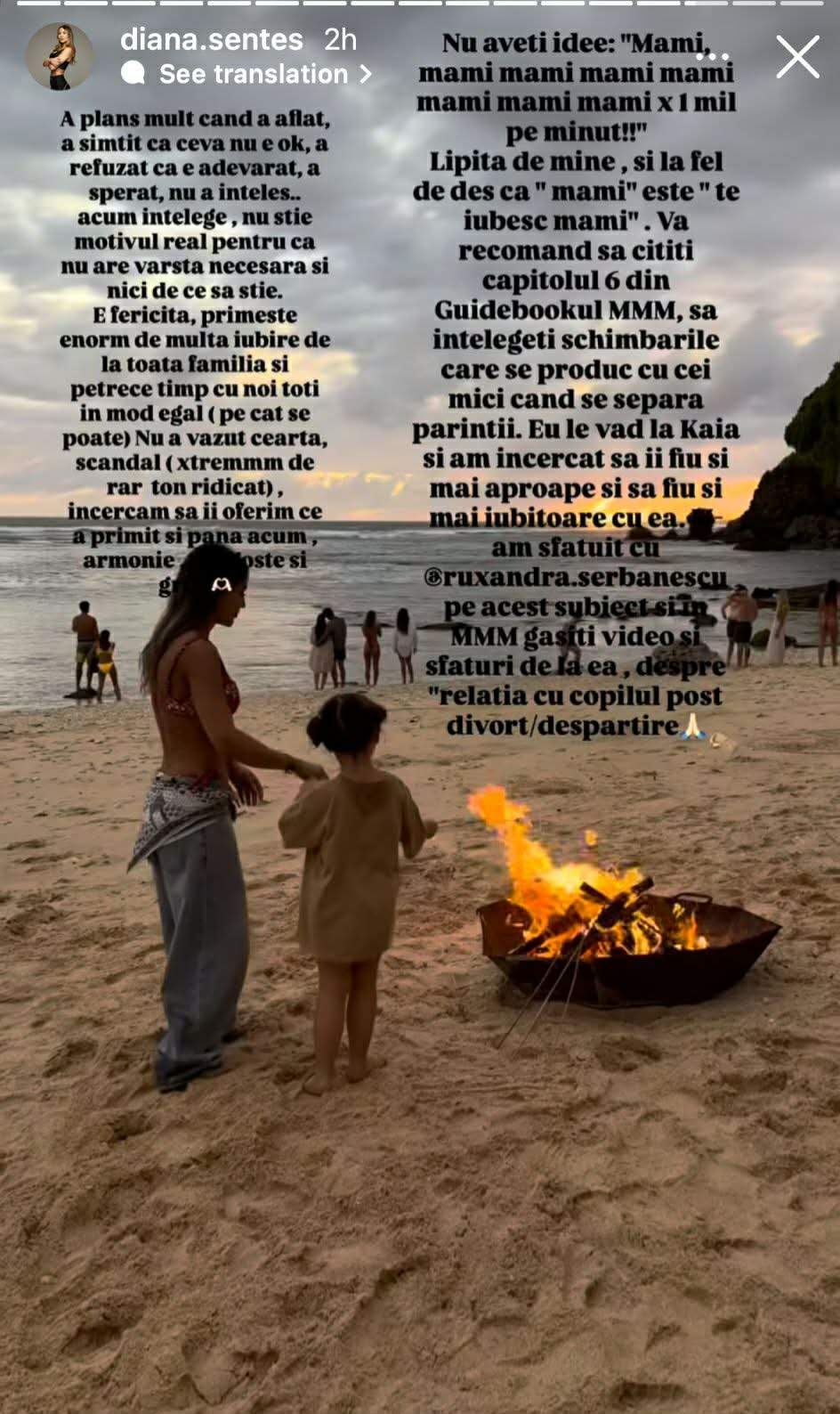 mesajul Dianei Senteș