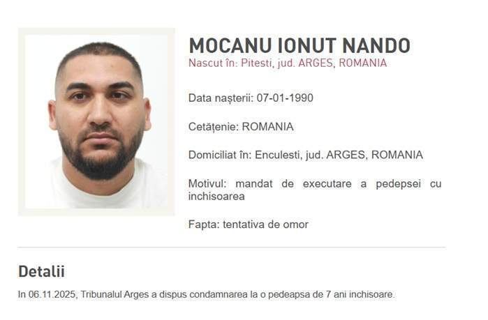 Dani Mocanu încearcă să obțină revizuirea dosarului în care a fost condamnat! Ce au cerut artistul și fratele său judecătorilor