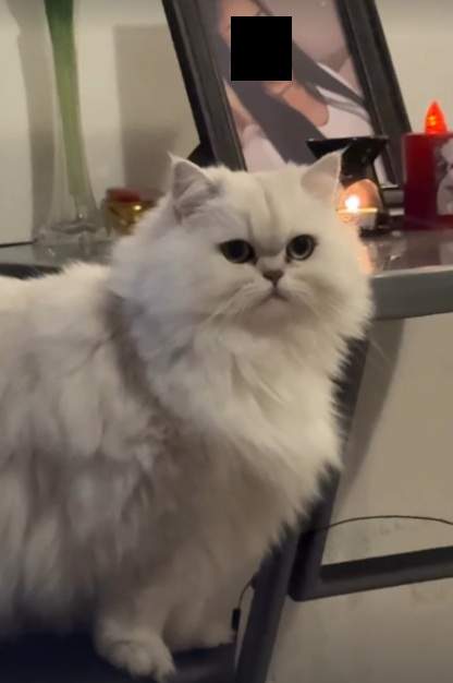 Cum își alină dorul familia tinerei găsite moartă în valiză. Mama și sora Valentinei sunt copleșite