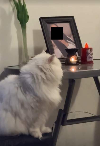 Cum își alină dorul familia tinerei găsite moartă în valiză. Mama și sora Valentinei sunt copleșite