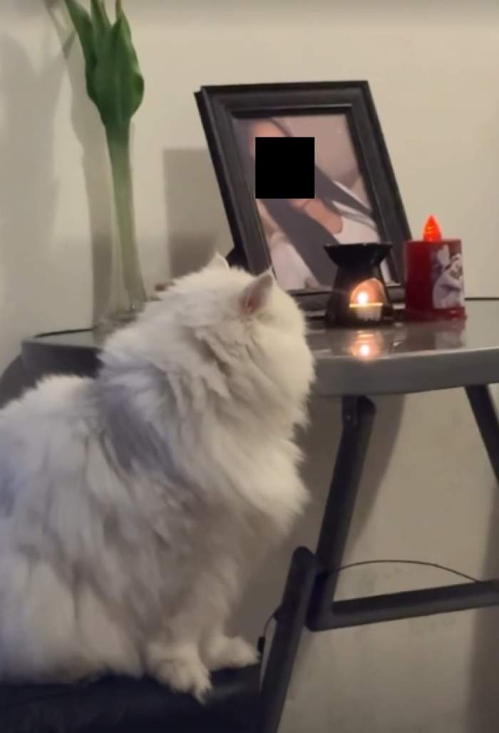 Cum își alină dorul familia tinerei găsite moartă în valiză. Mama și sora Valentinei sunt copleșite