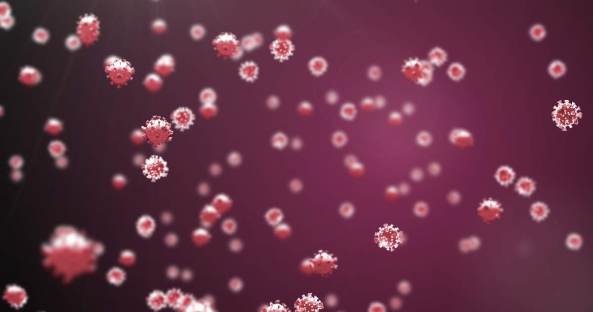 Virus