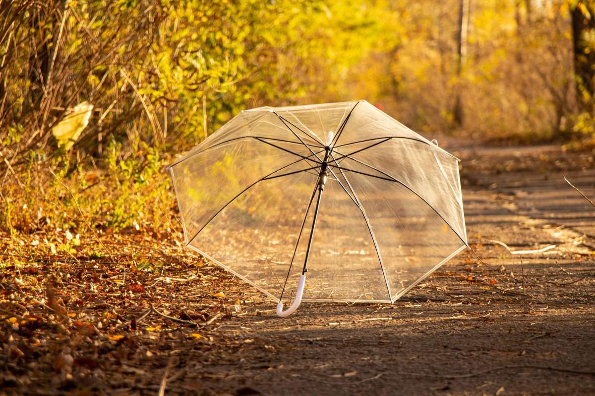 umbrelă în peisaj cu frunze