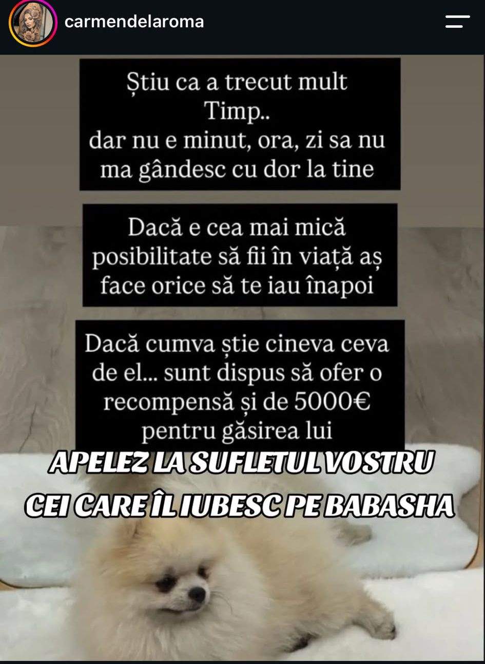 Mesajul lui Babasha