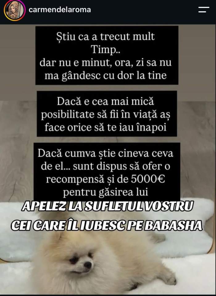 Mesajul lui Babasha