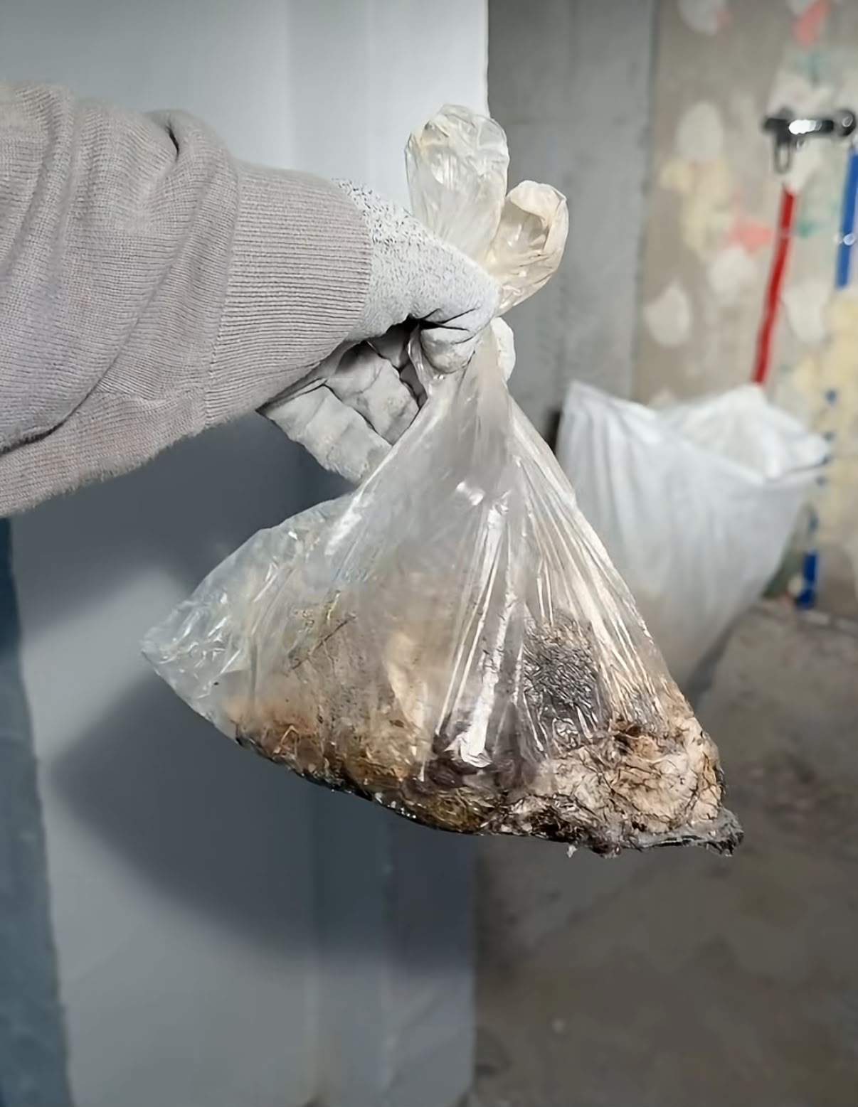 Pungă cu fecale