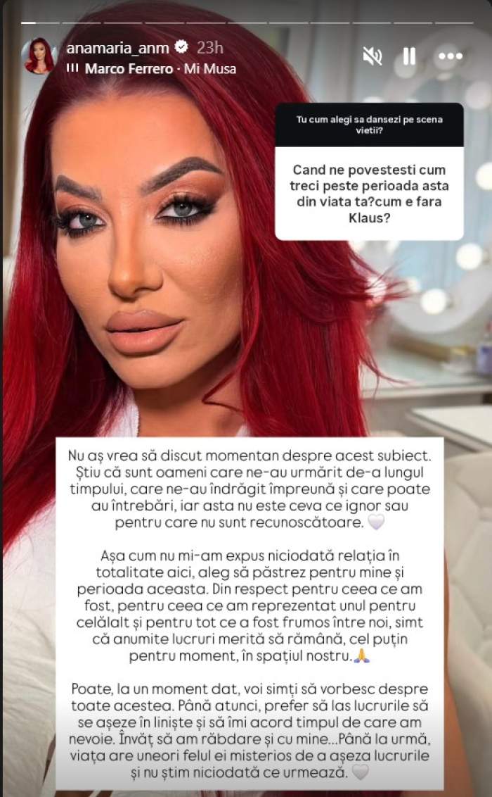 anamaria vaida