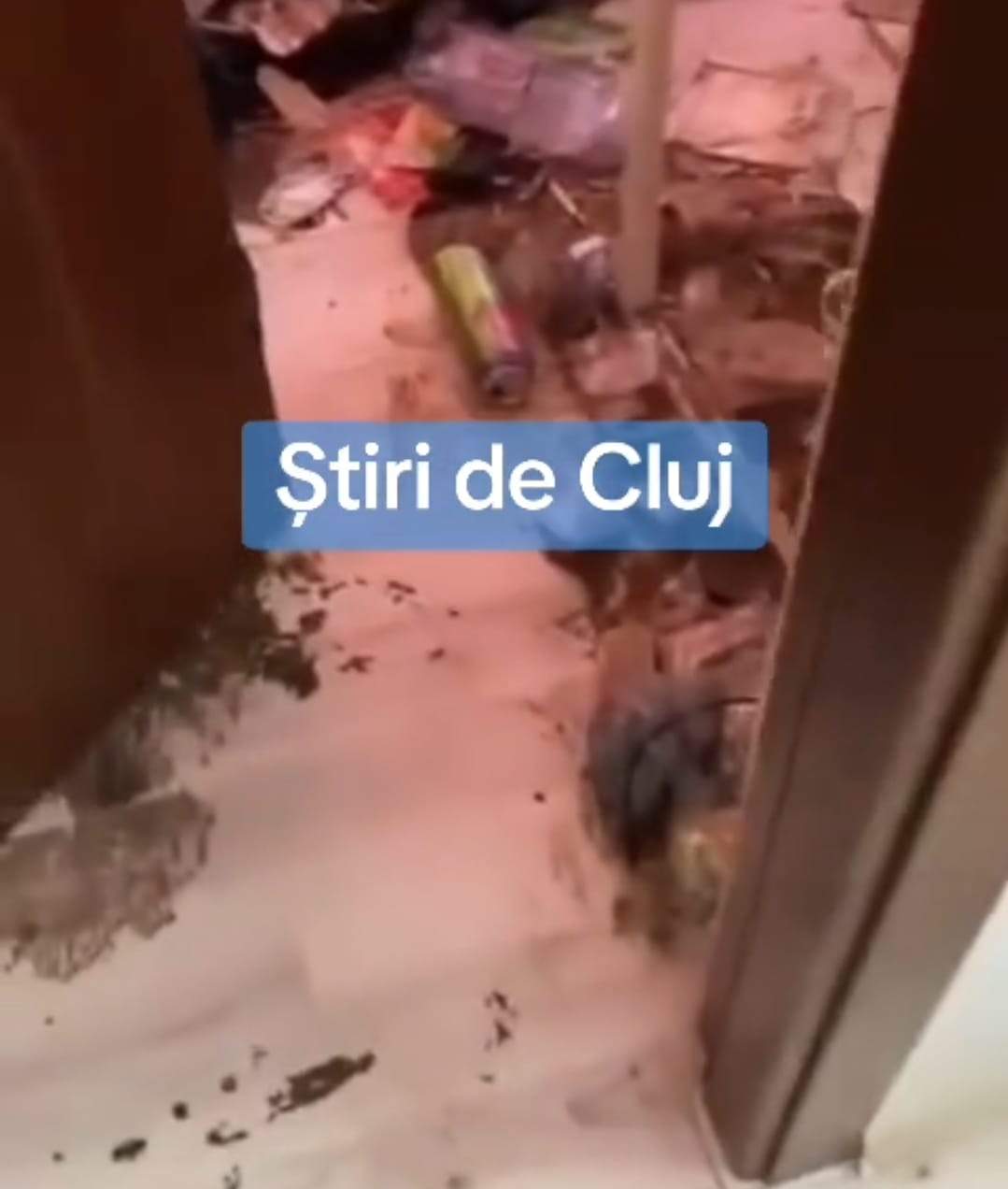 Imagini greu de privit! Cum a lăsat un cuplu un apartament închiriat în Cluj