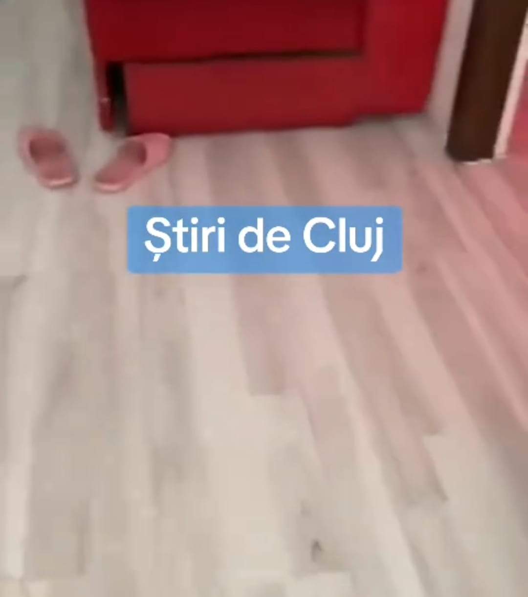 Imagini greu de privit! Cum a lăsat un cuplu un apartament închiriat în Cluj