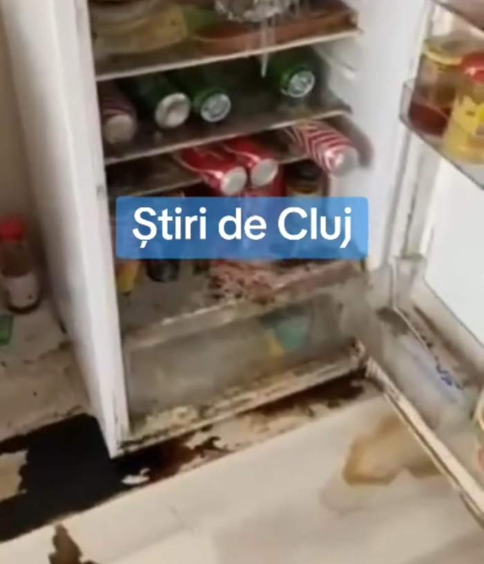 Imagini greu de privit! Cum a lăsat un cuplu un apartament închiriat în Cluj
