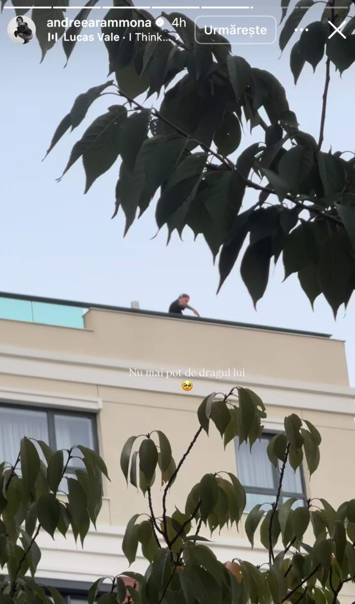 Florin Ristei, pe acoperiș