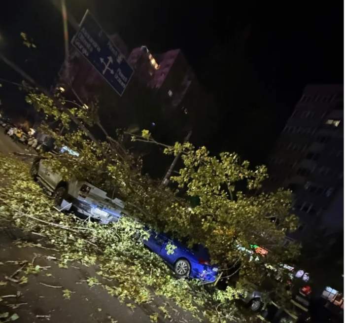 Un copac s-a prăbușit peste cinci vehicule în Bucureșt