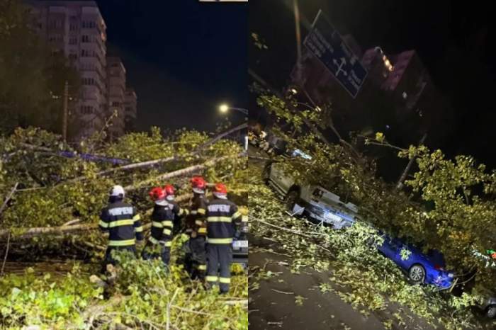 Un copac s-a prăbușit peste cinci vehicule în București. Imagini de la fața locului