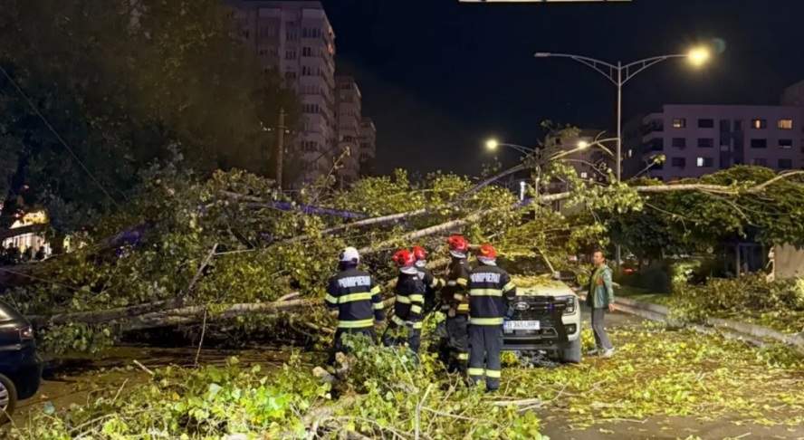 Un copac s-a prăbușit peste cinci vehicule în Bucureșt