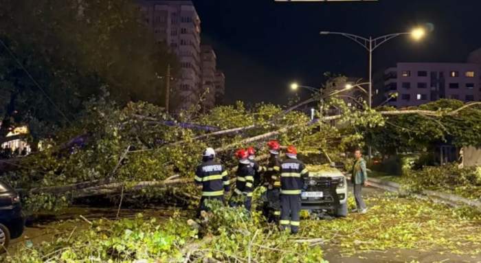Un copac s-a prăbușit peste cinci vehicule în Bucureșt