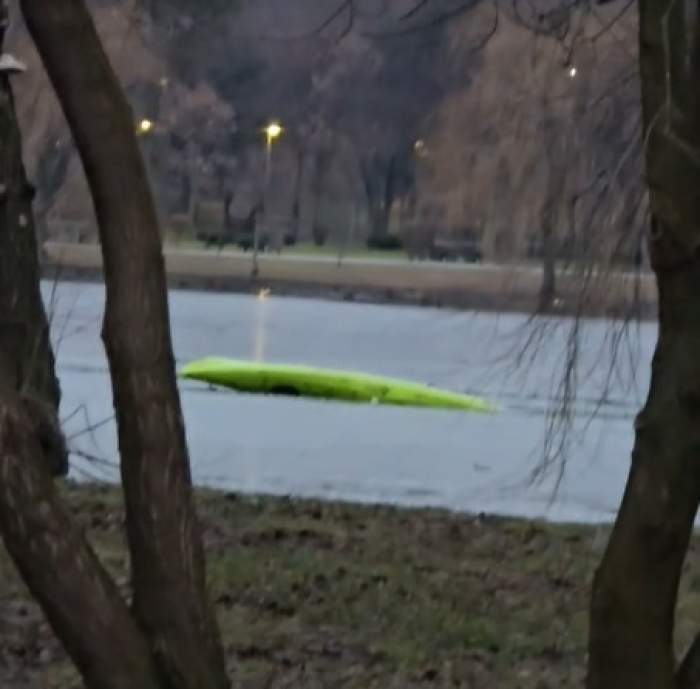 Scene șocante în parcul IOR din Capitală! Un bărbat care a sărit în lac pentru a salva un câine a fost lăsat 20 de minute în apă: "Ajungi să mori..."