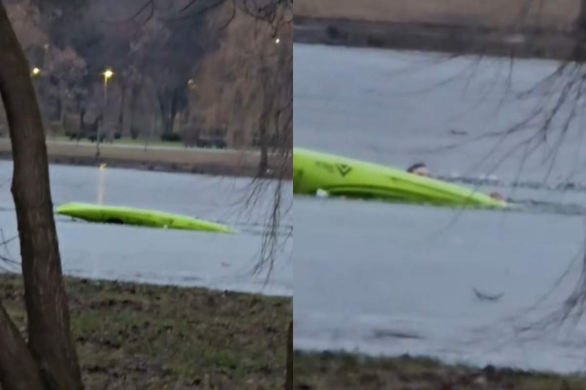 Scene șocante în parcul IOR din Capitală! Un bărbat care a sărit în lac pentru a salva un câine a fost lăsat 20 de minute în apă: "Ajungi să mori..."