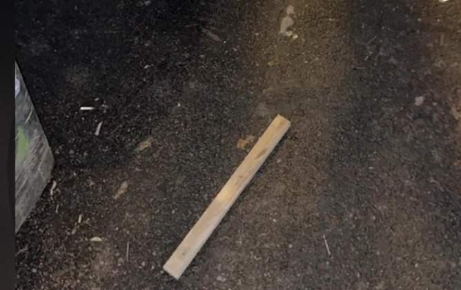 Parul cu care l-au bătut pe tânăr