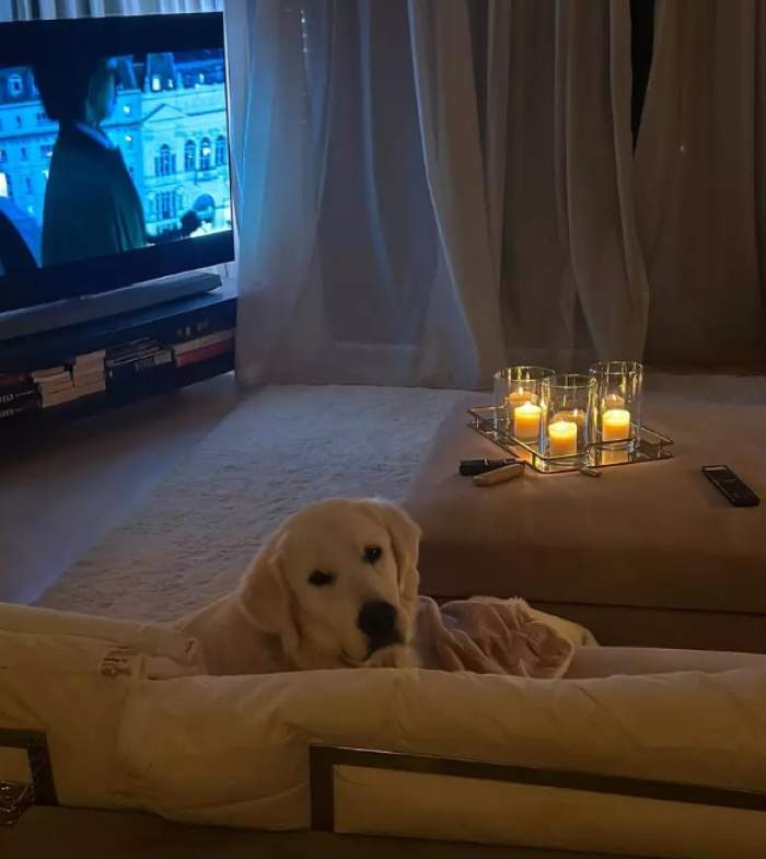 Cum arată casa Andreei Raicu din inima Bucureștiului! Imagini spectaculoase din locuința de lux a vedetei