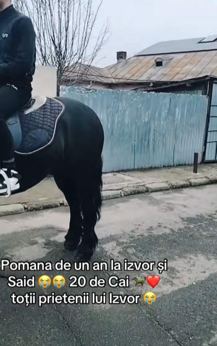 izvor si said pomana