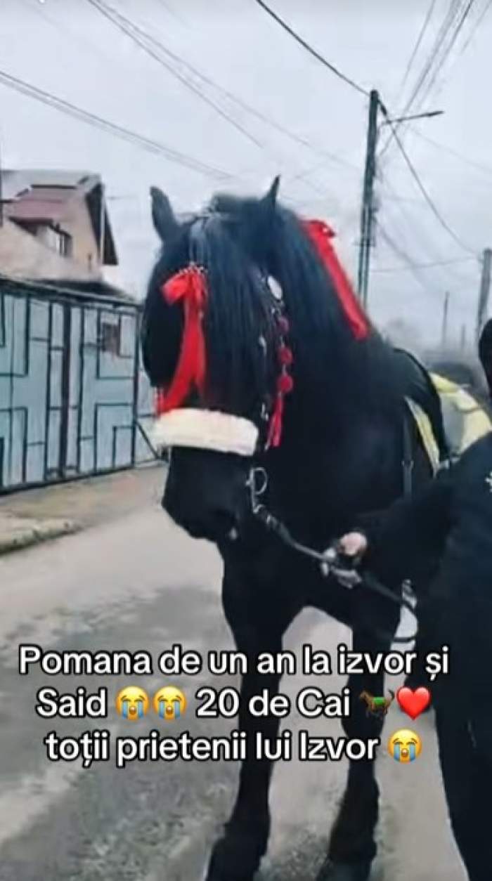 izvor si said pomana