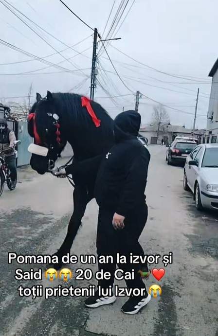 izvor si said pomana