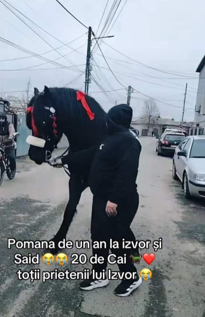 izvor si said pomana