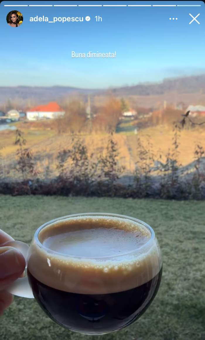 Imagine de la casa Adelei Popescu