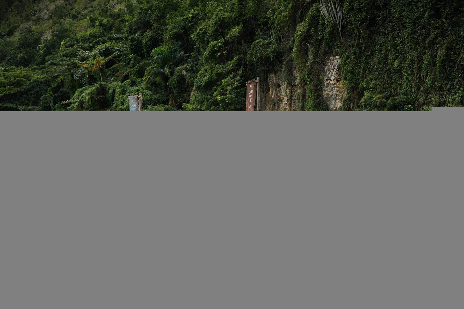 Concurenții de la Survivor