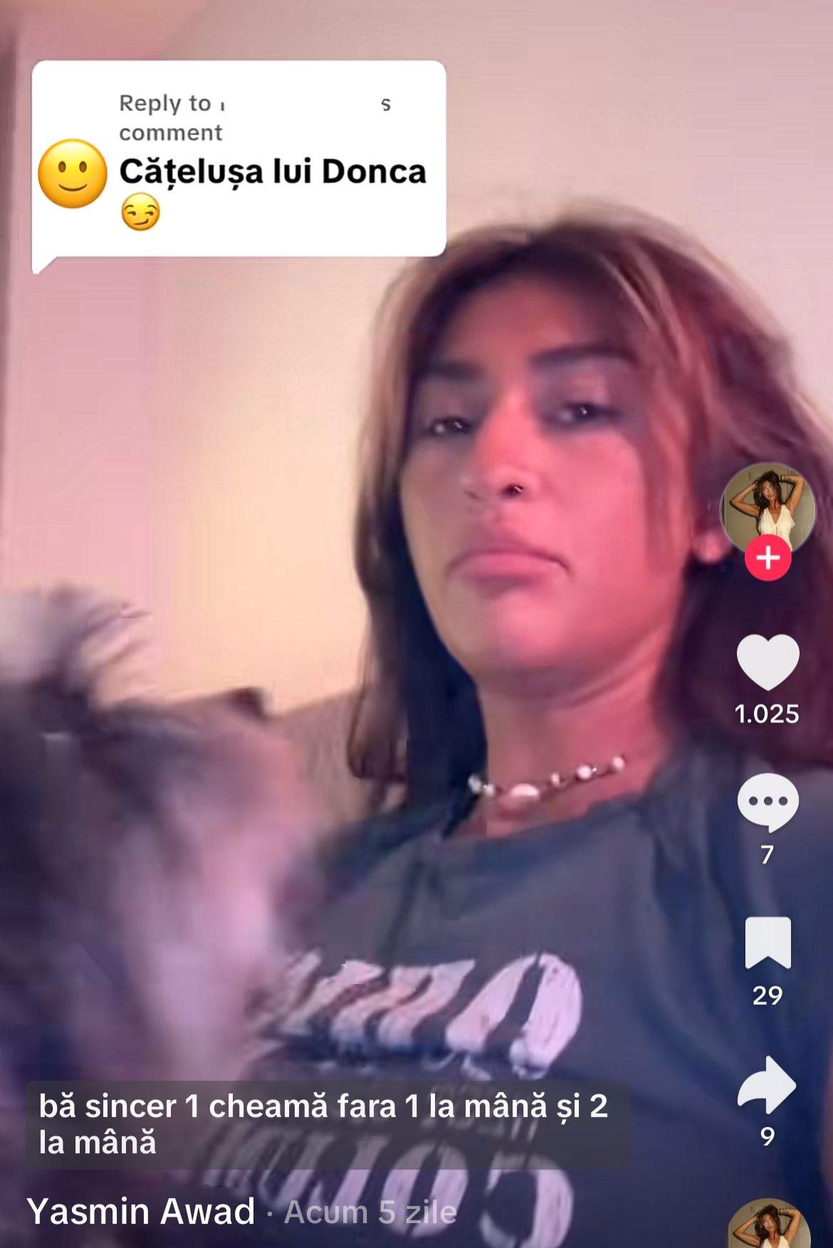 Yasmin Awad, pe TikTok