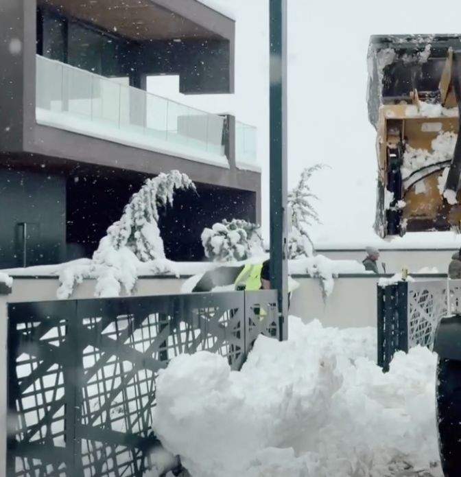 Curtea casei Marisei Paloma