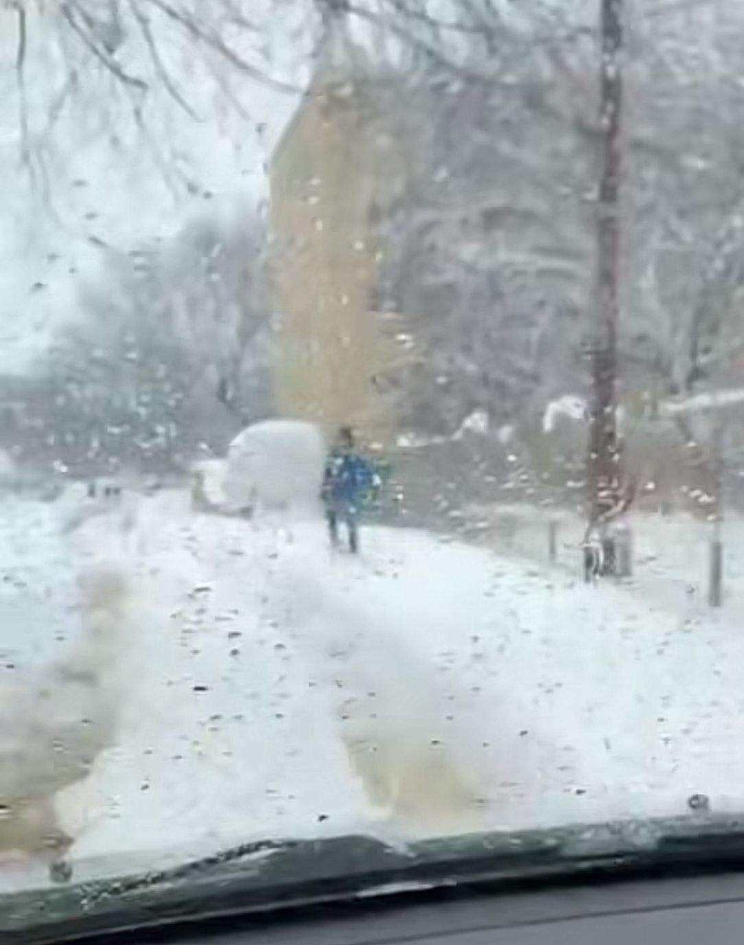 Oamenii au filmat un bărbat în timp ce mergea pe schiuri