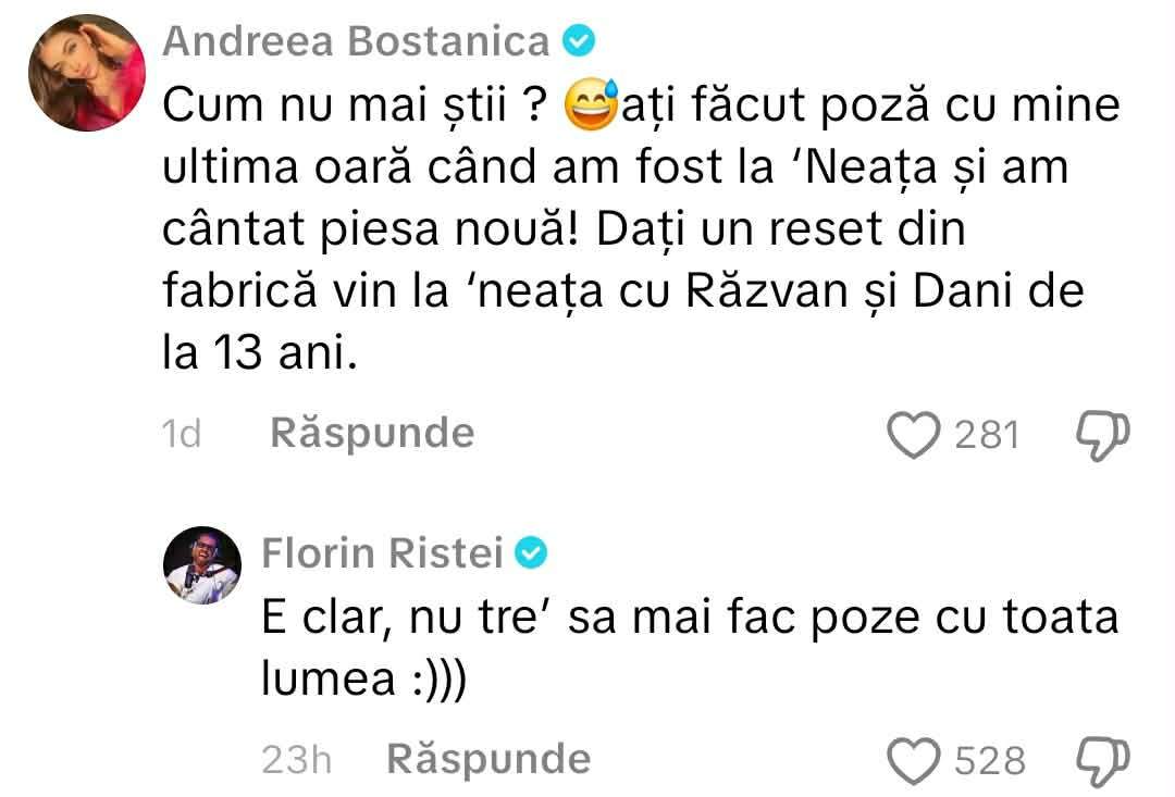 mesajele dintre Florin Ristei și Andreea Bostănică