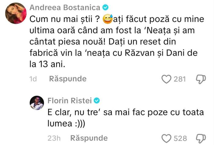 mesajele dintre Florin Ristei și Andreea Bostănică