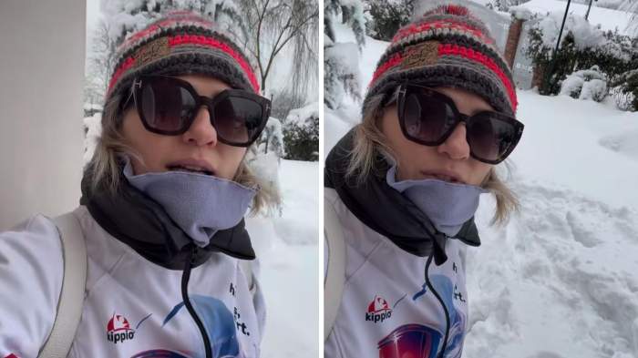 Colaj foto cu Mirela Vaida, în curtea casei sale