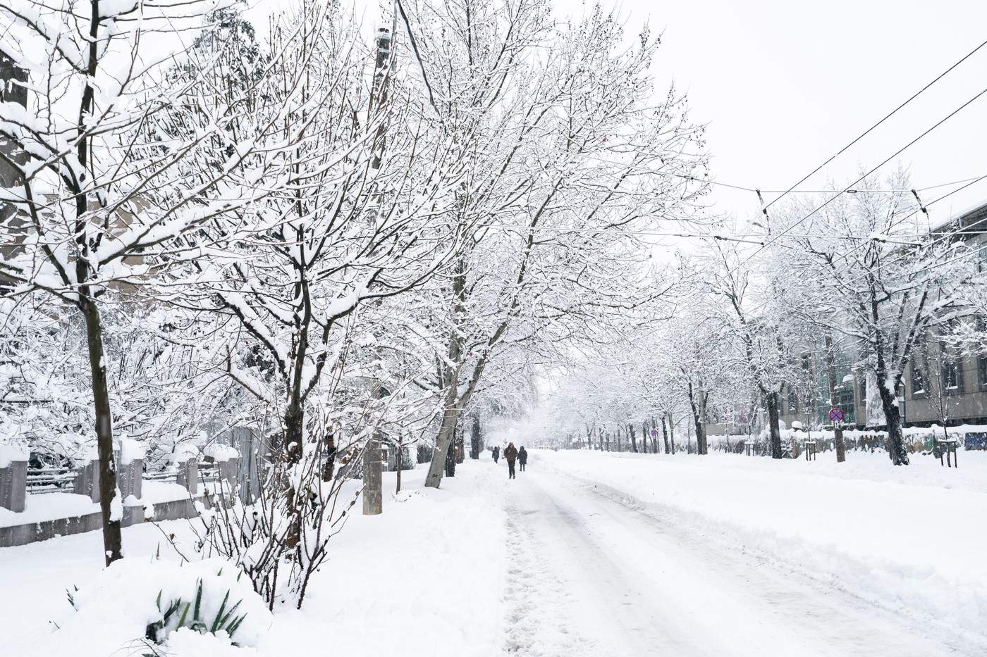 zăpadă în București