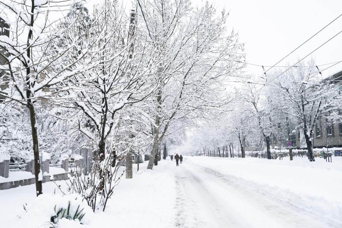 zăpadă în București
