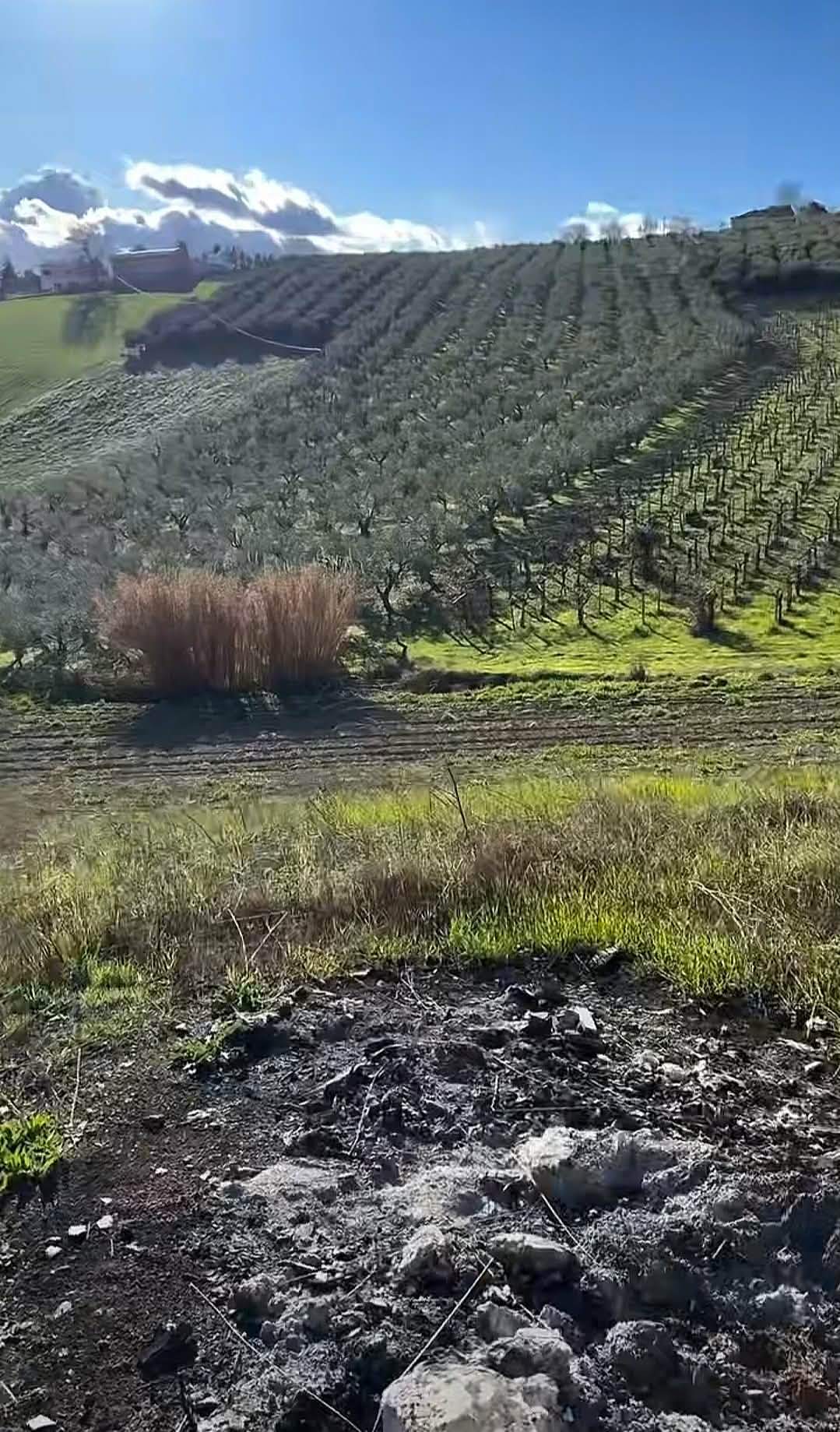 Gabriela Cristea explică procedura pas cu pas! Cum cumperi casă în Italia