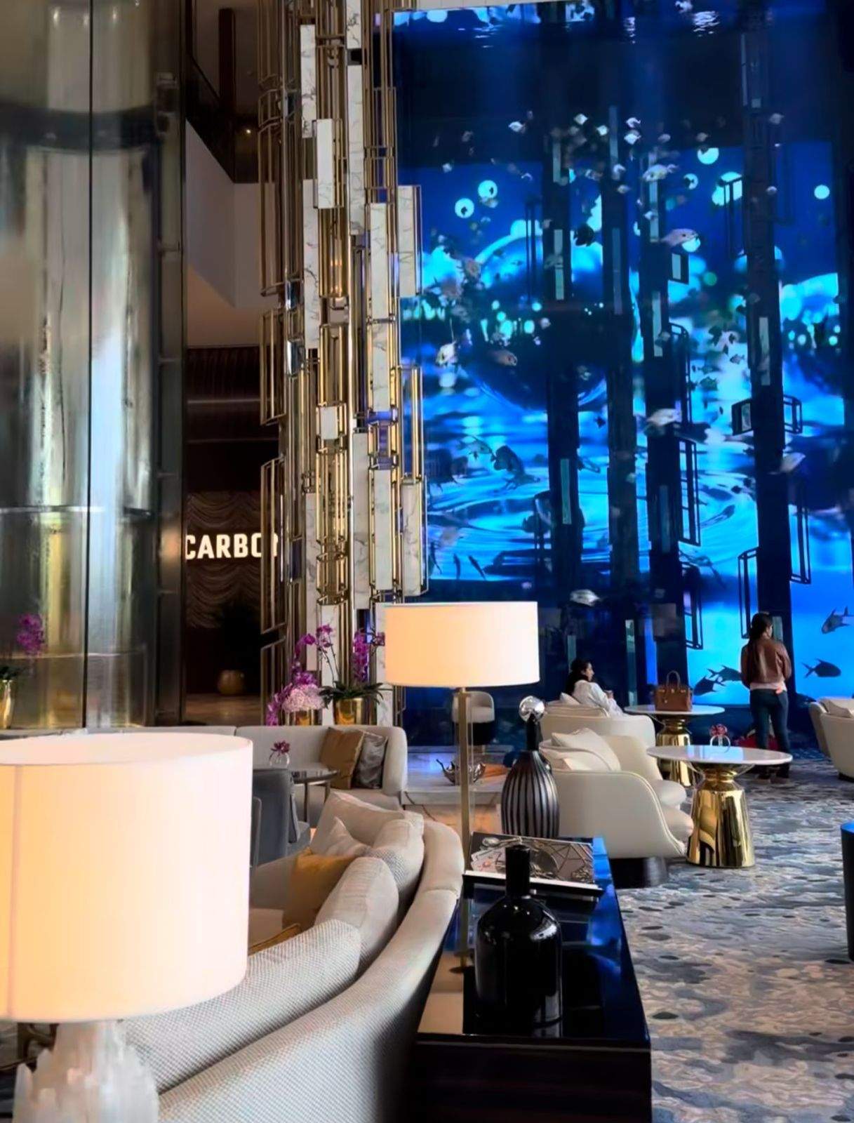 Cazarea în care sunt Vanessa și BDLP