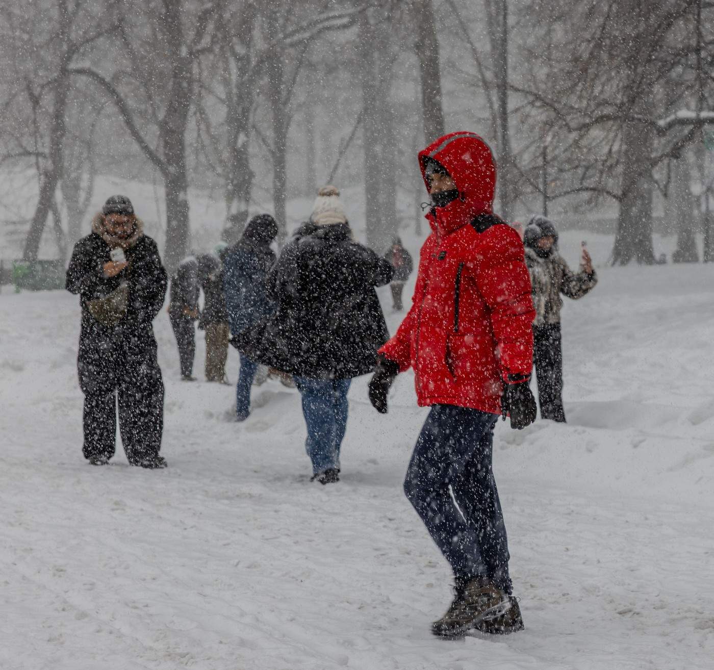 Zăpadă în New York