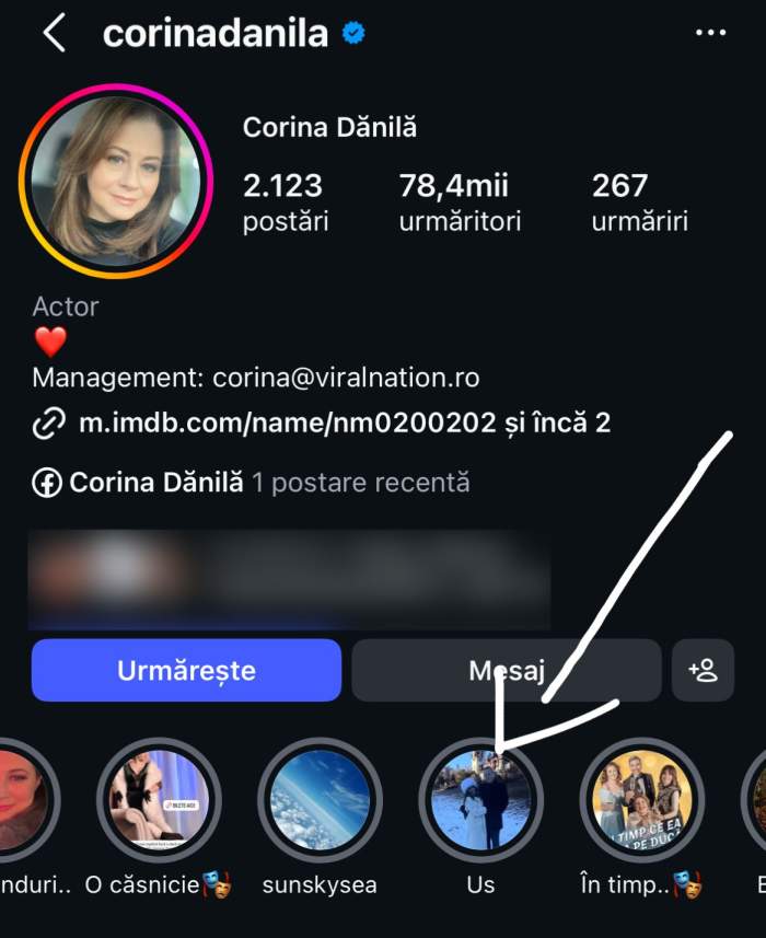 Profilul Corinei Dănilă