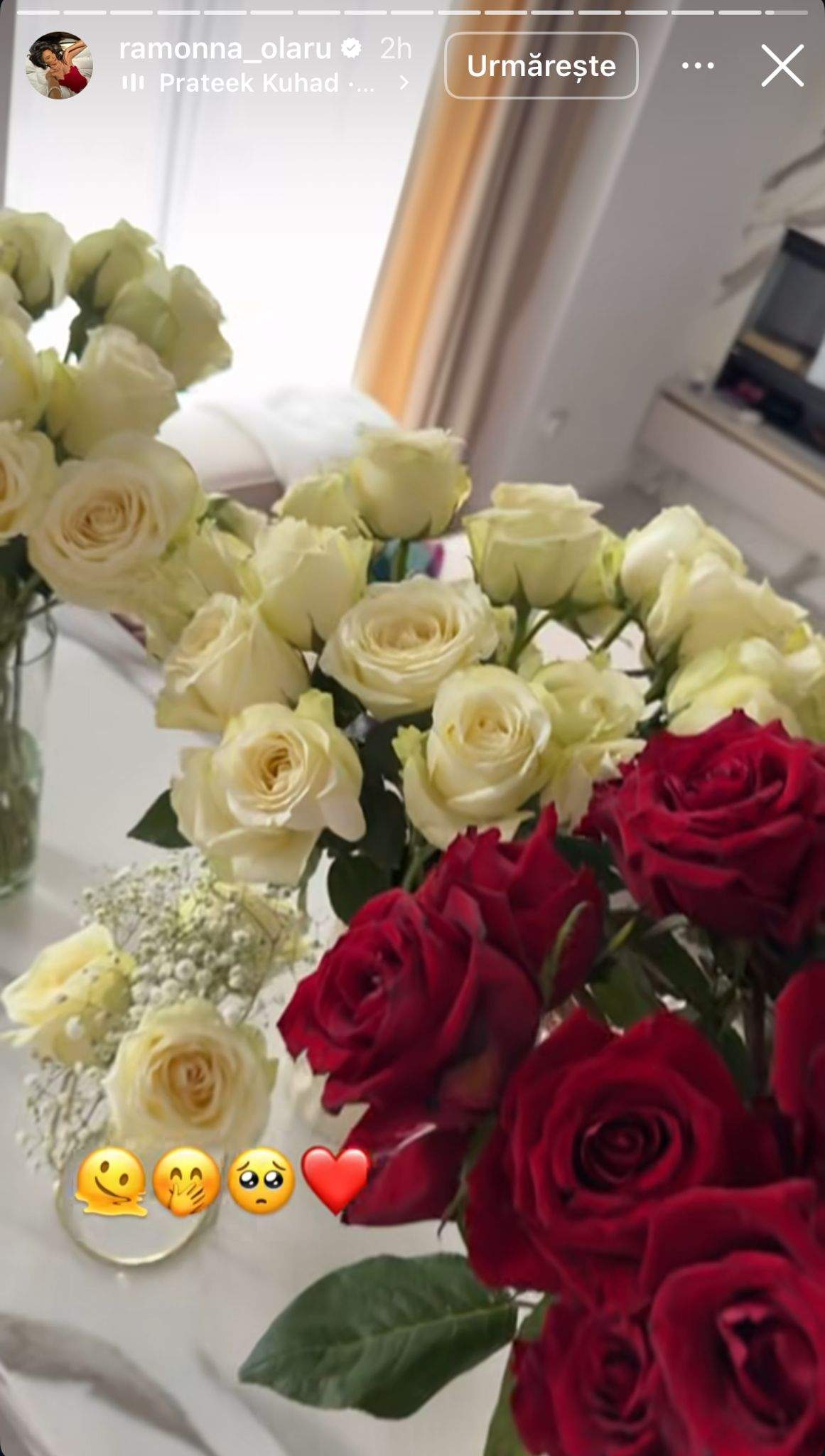 Surpriză Ramona Olaru