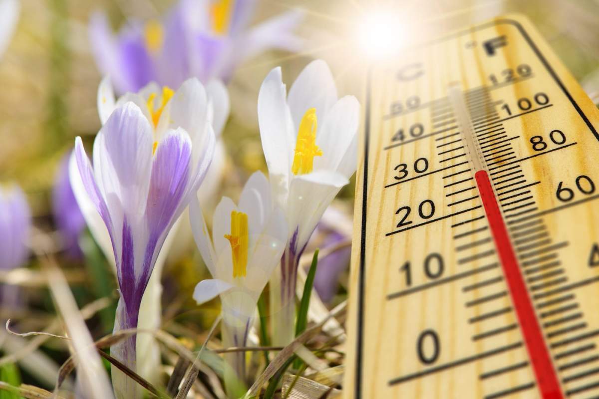 Meteorologii anunță că vine primăvara în România! Când vor fi înregistrate temperaturi de 18 grade