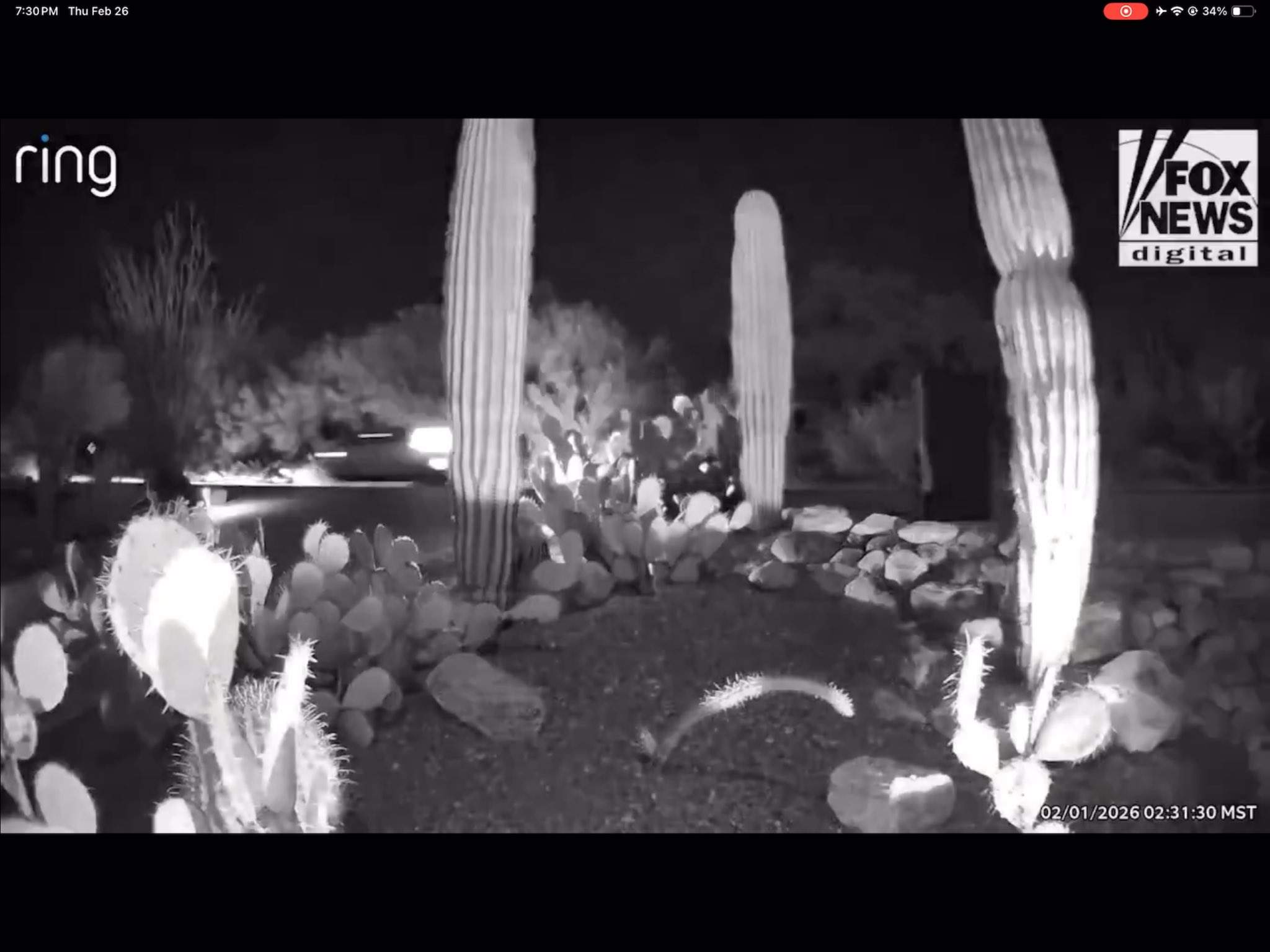 acasă la Nancy Guthrie