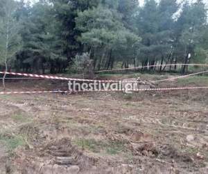 Descoperire macabră într-o destinație turistică îndrăgită de români. Un cadavru decapitat a fost găsit pe câmp